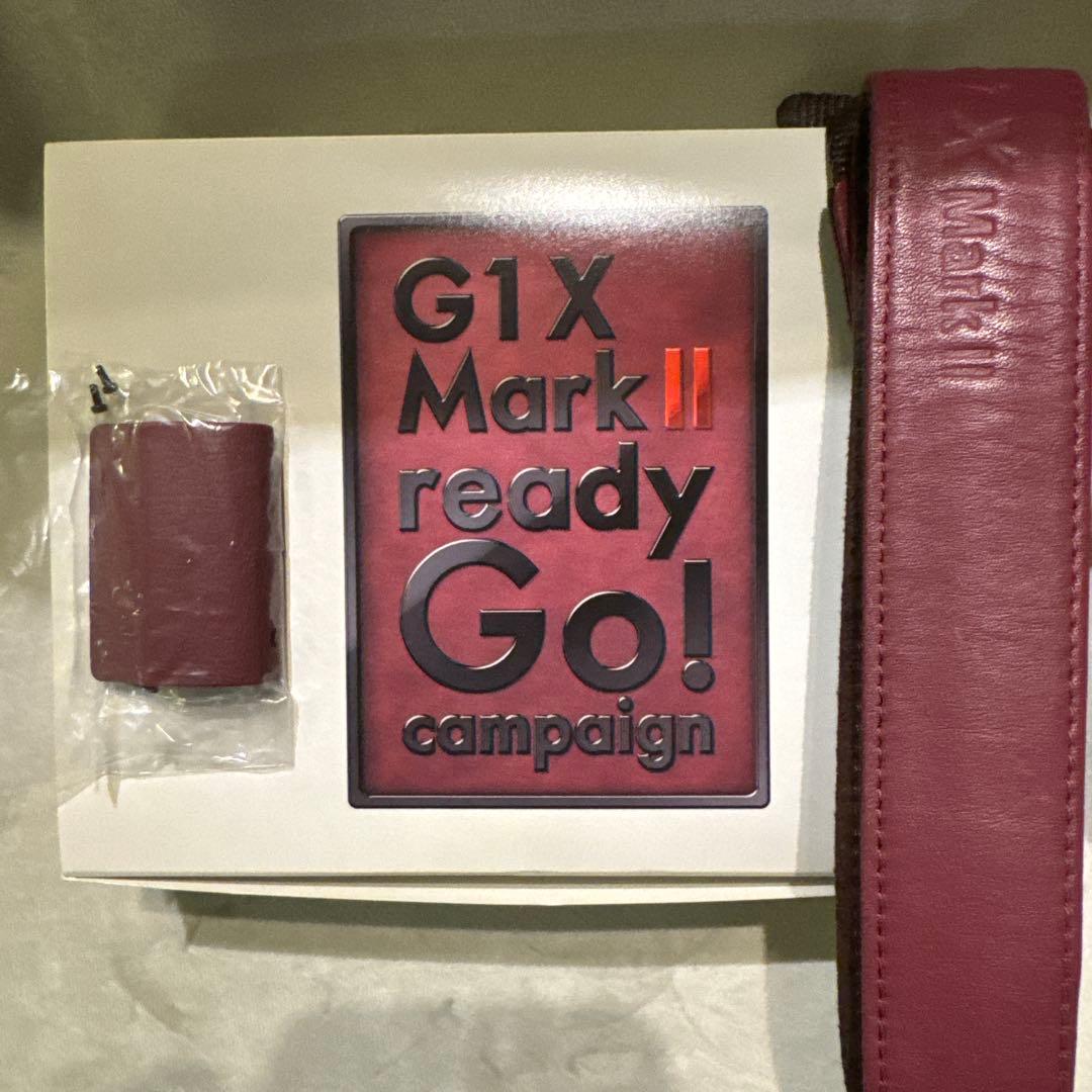 極美品 Canon キャノン Powershot G1 mark II 特典多数