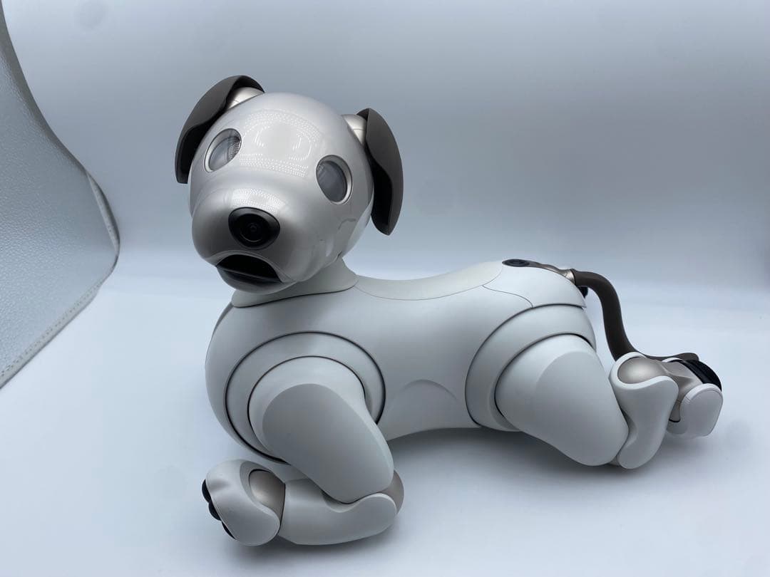 SONY aibo ERS-1000 アイボリー 付属品あり ロボット犬 ソニー