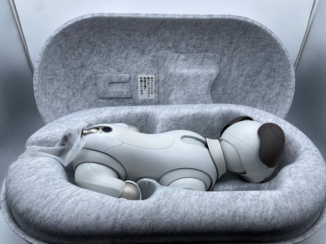 SONY aibo ERS-1000 アイボリー 付属品あり ロボット犬 ソニー