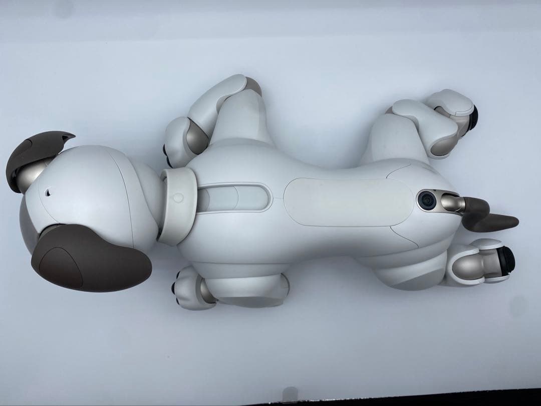 SONY aibo ERS-1000 アイボリー 付属品あり ロボット犬 ソニー