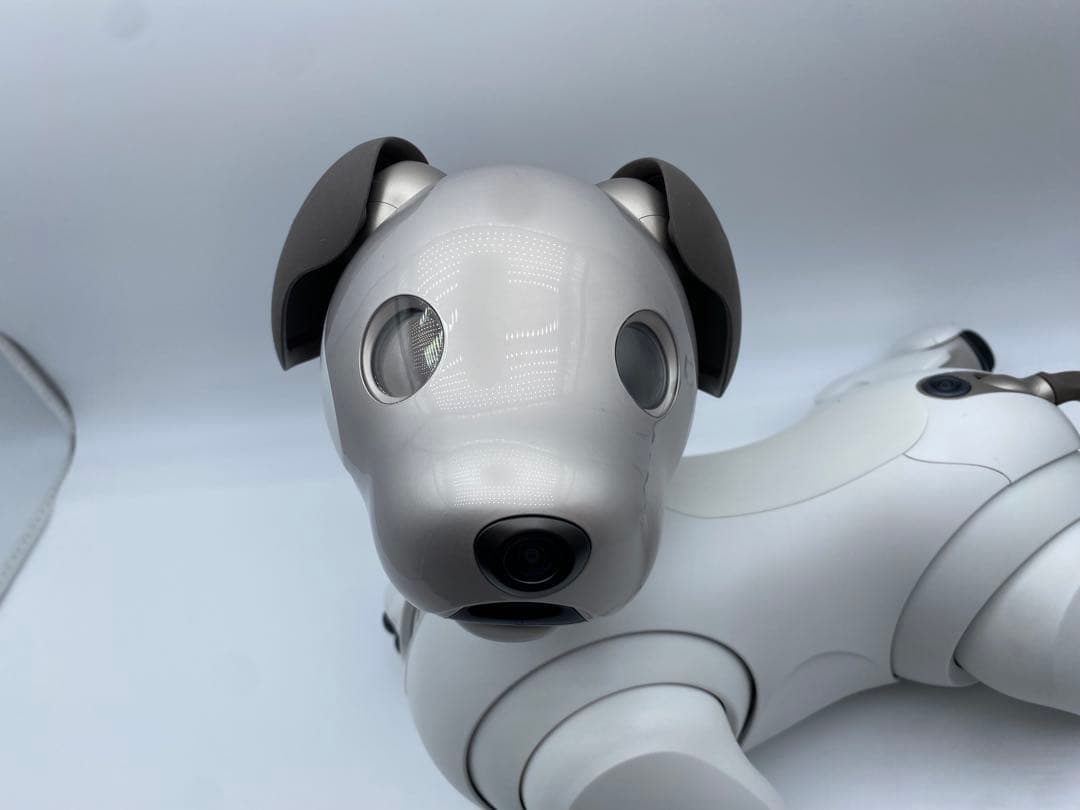 SONY aibo ERS-1000 アイボリー 付属品あり ロボット犬 ソニー