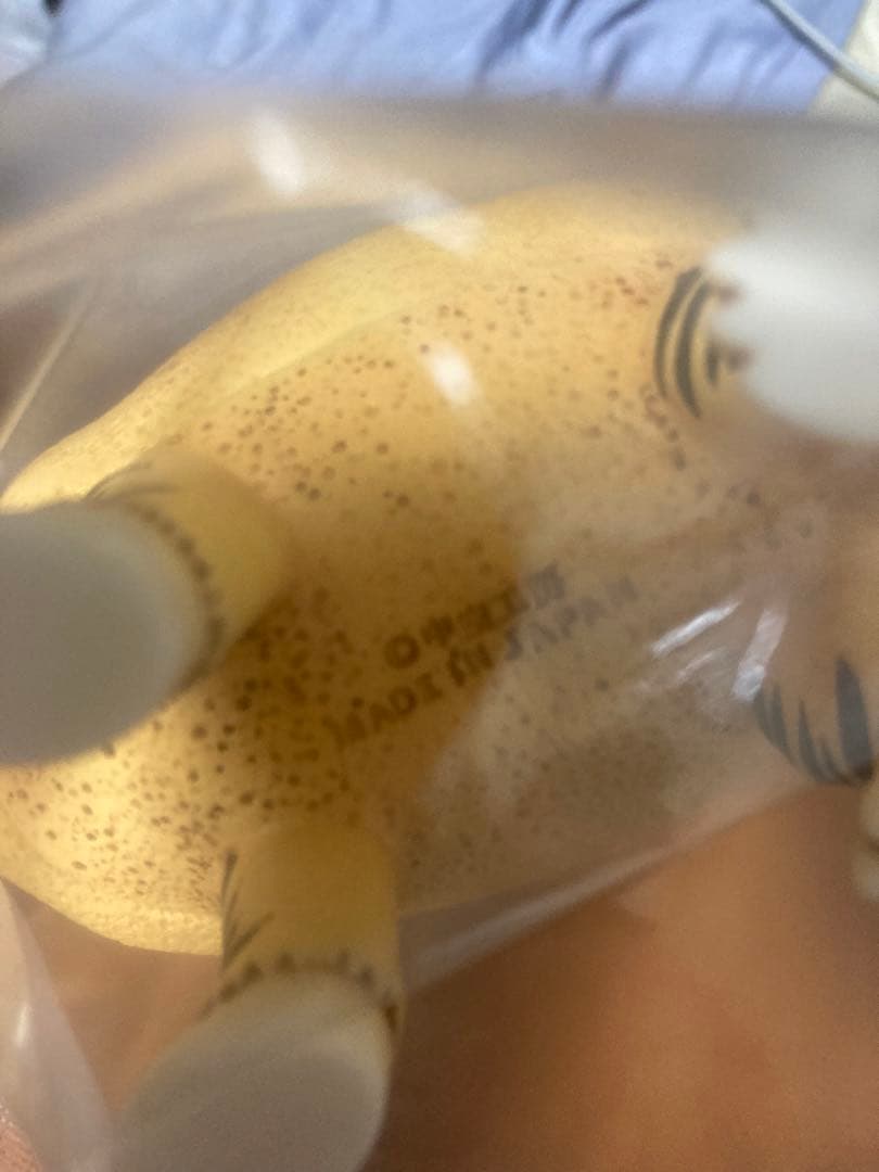 CHUKU JAPONISM 虎子石　日本製