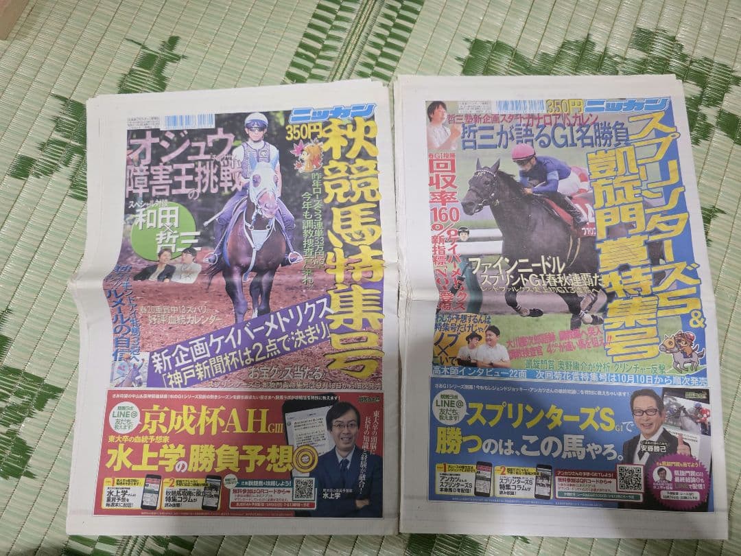 日刊スポーツ競馬特集号セット2018