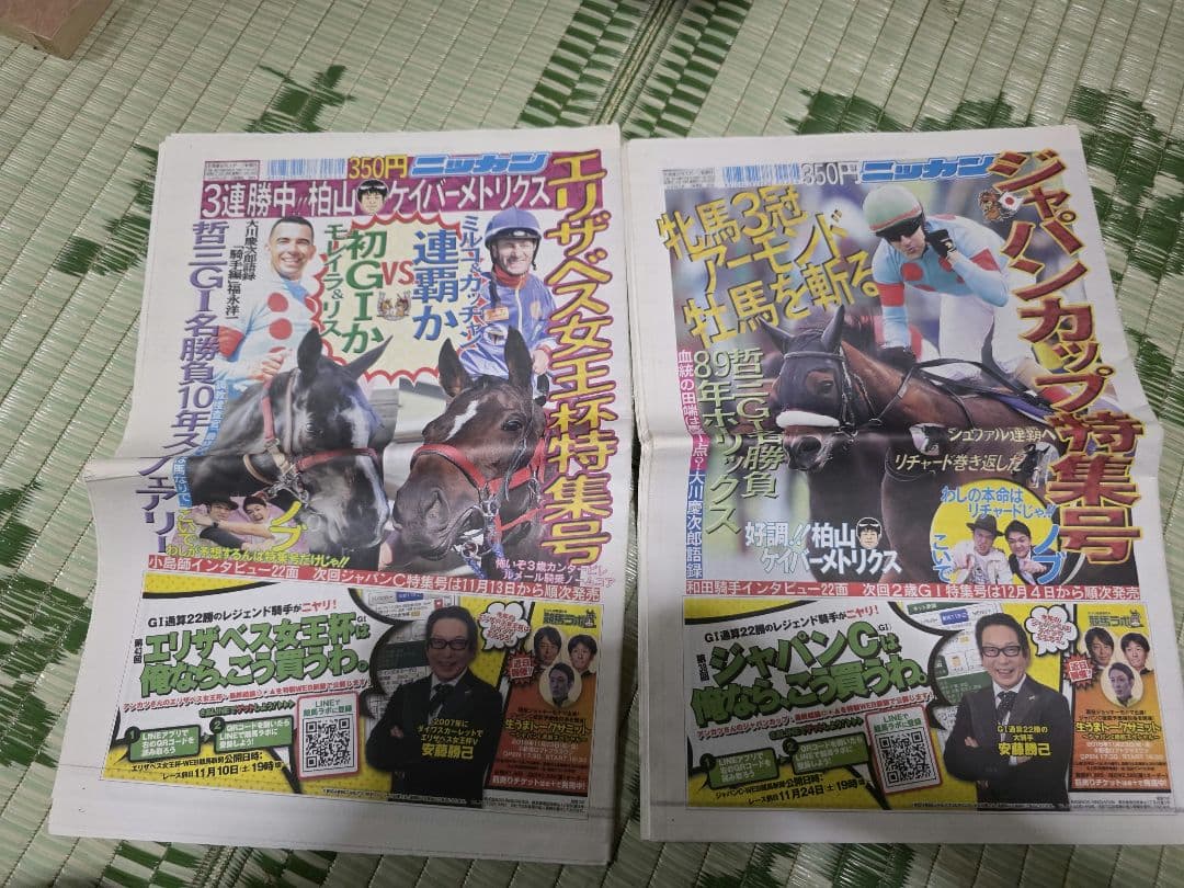 日刊スポーツ競馬特集号セット2018