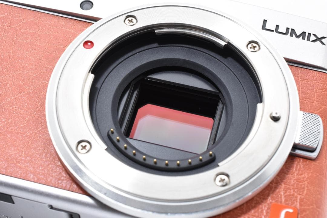 パナソニック LUMIX GF9