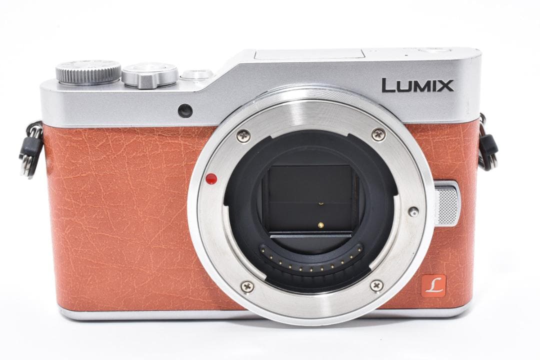 パナソニック LUMIX GF9