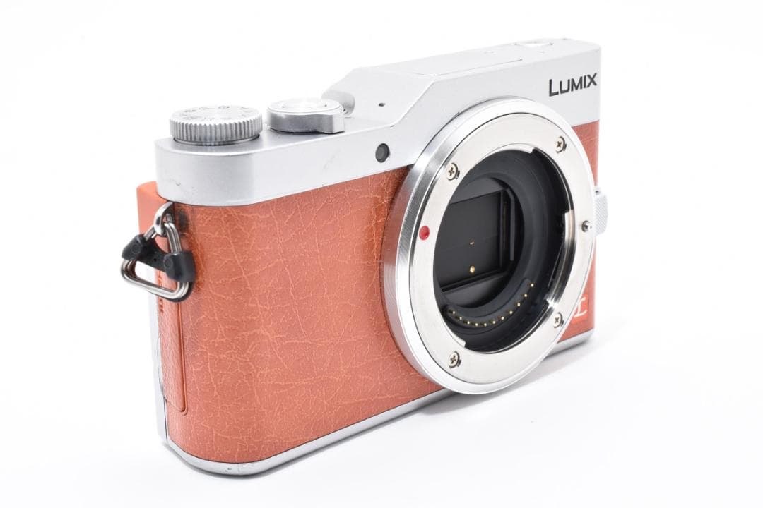 パナソニック LUMIX GF9