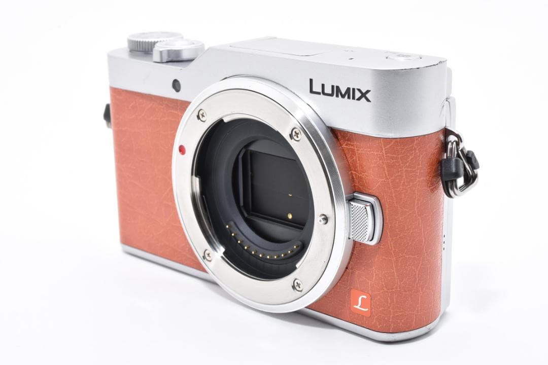 パナソニック LUMIX GF9