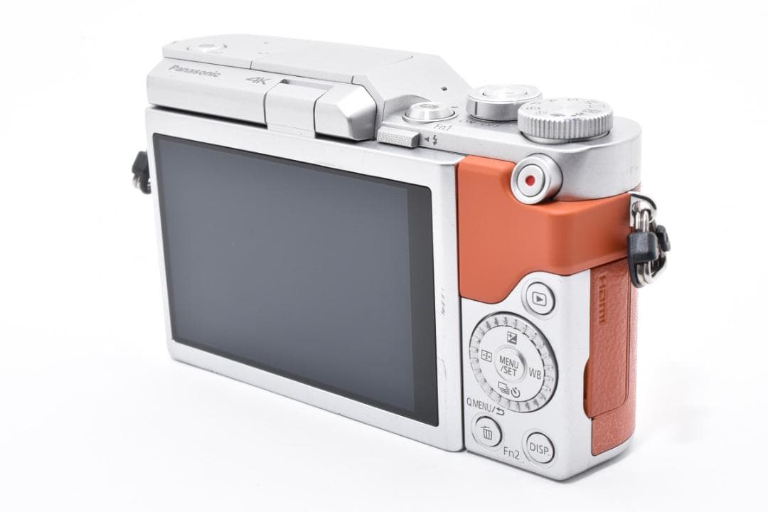 パナソニック LUMIX GF9
