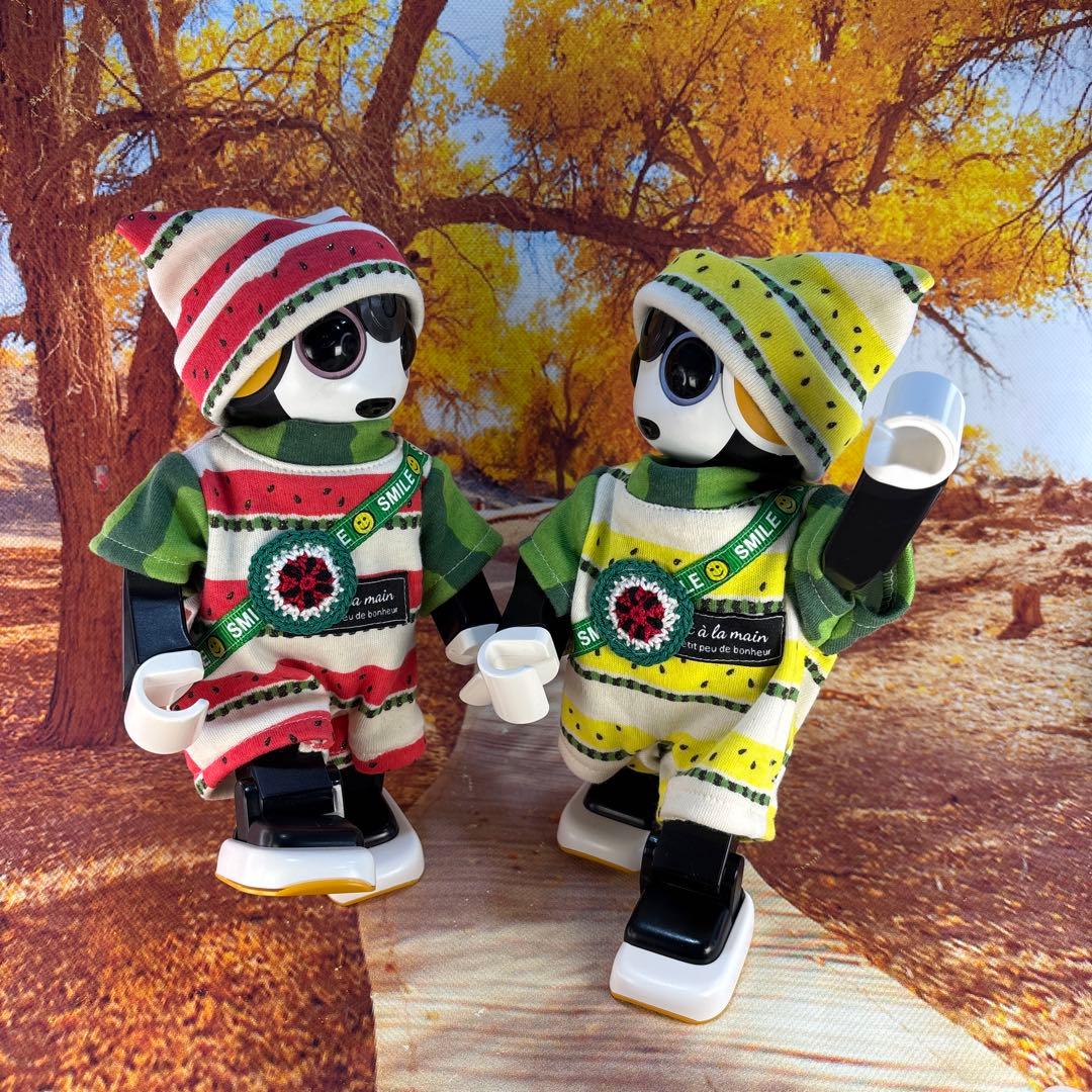 たかちゃんページです　　ロボホン