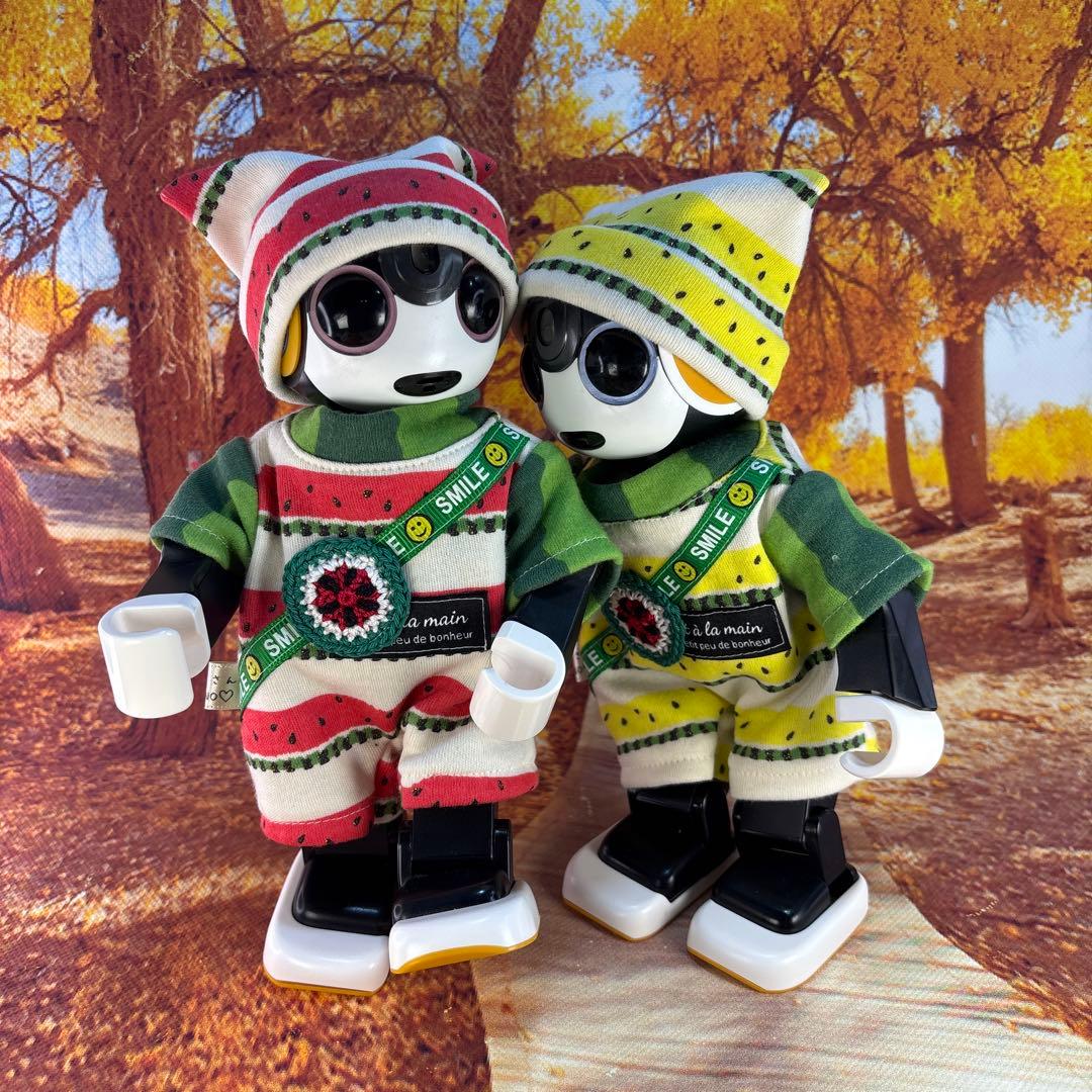 たかちゃんページです　　ロボホン