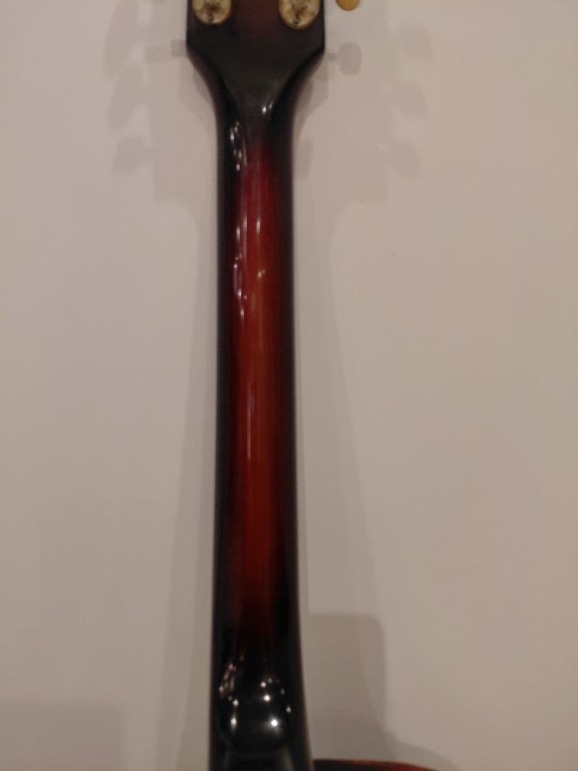 Nardan No.100 アーチトップ ナルダン ピックギター