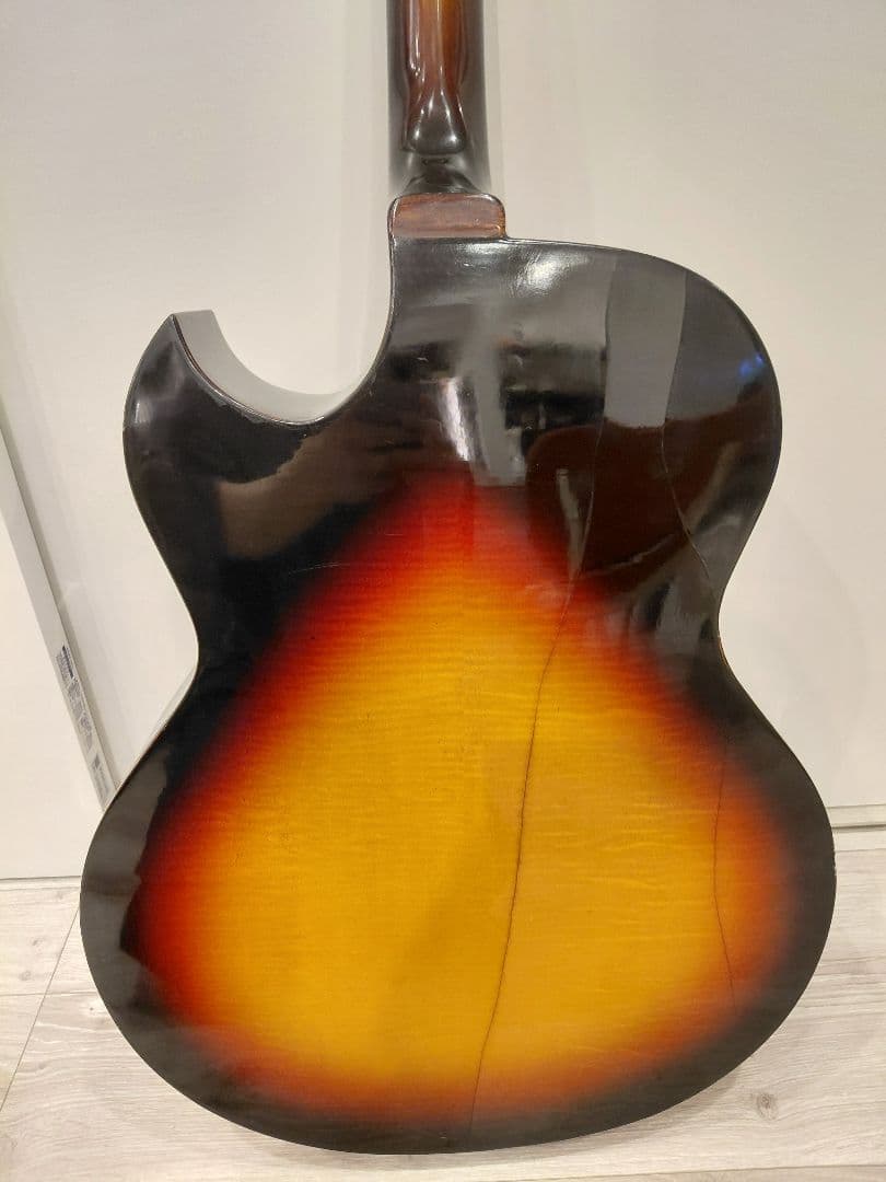 Nardan No.100 アーチトップ ナルダン ピックギター