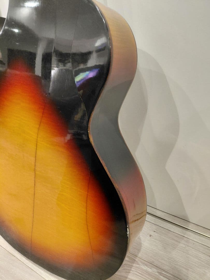 Nardan No.100 アーチトップ ナルダン ピックギター