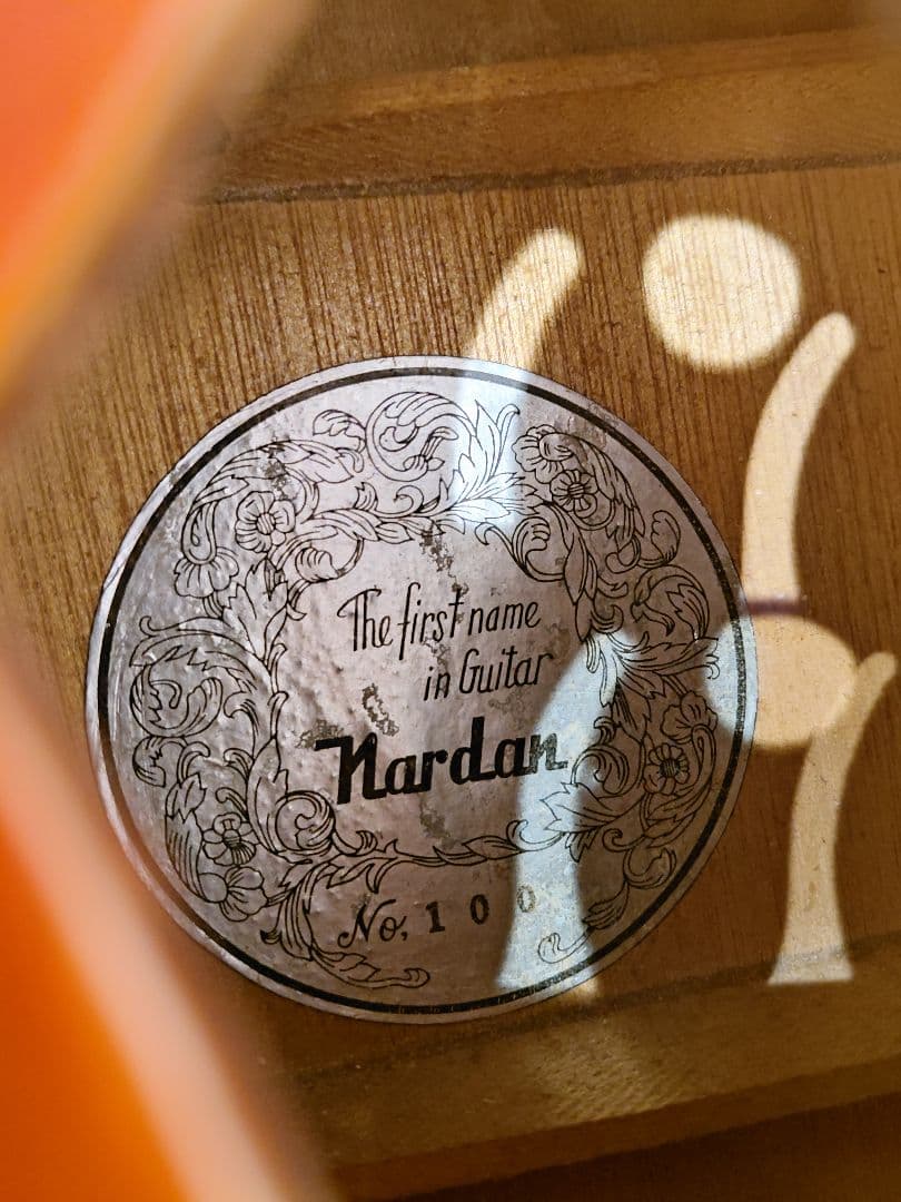 Nardan No.100 アーチトップ ナルダン ピックギター