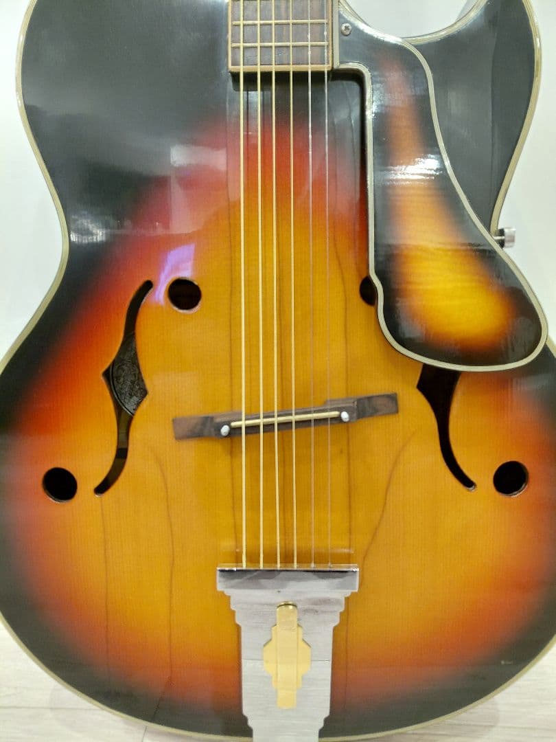 Nardan No.100 アーチトップ ナルダン ピックギター