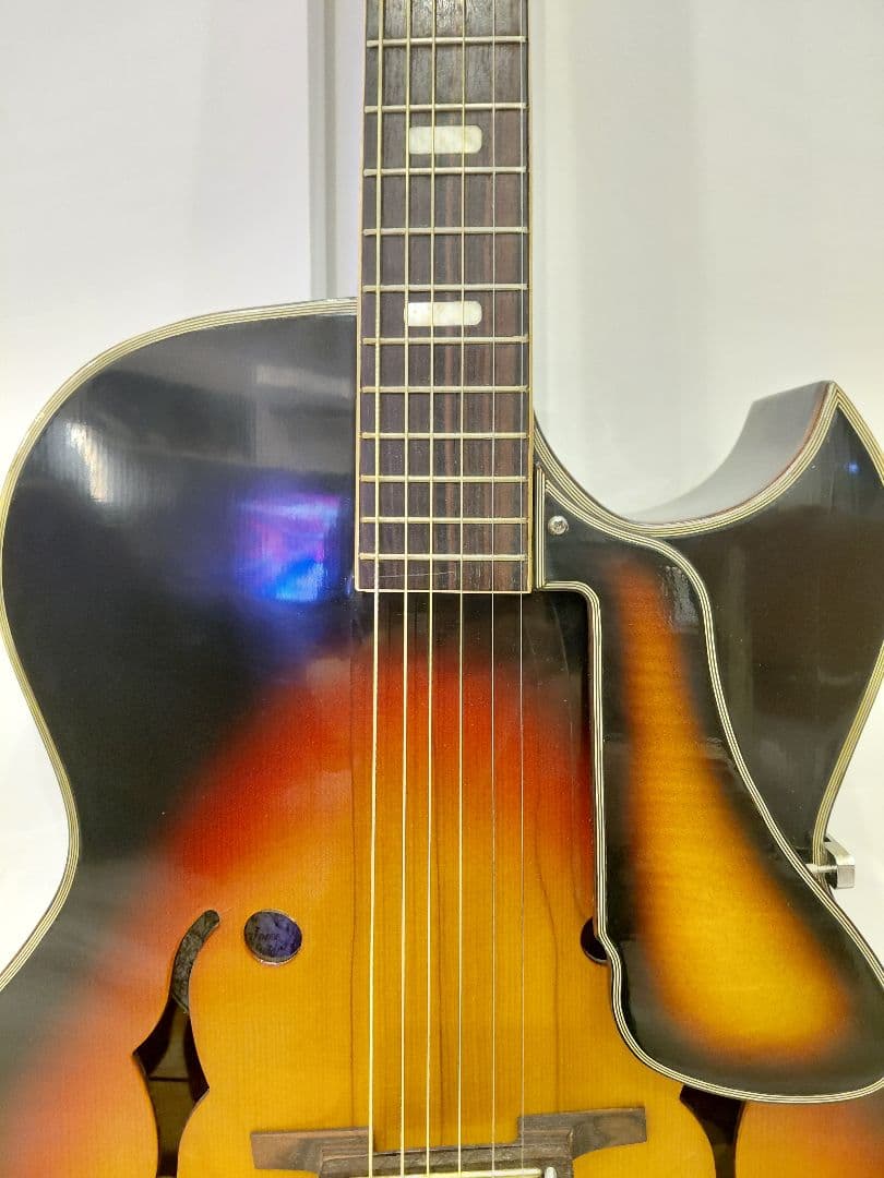 Nardan No.100 アーチトップ ナルダン ピックギター