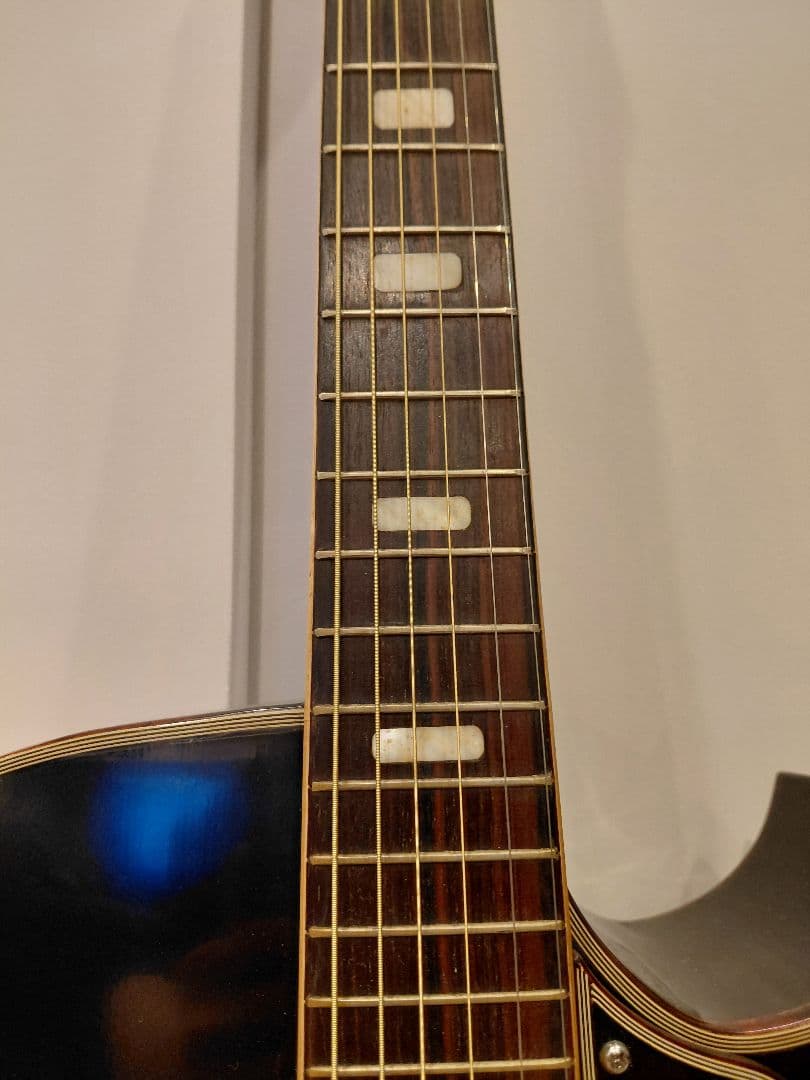 Nardan No.100 アーチトップ ナルダン ピックギター