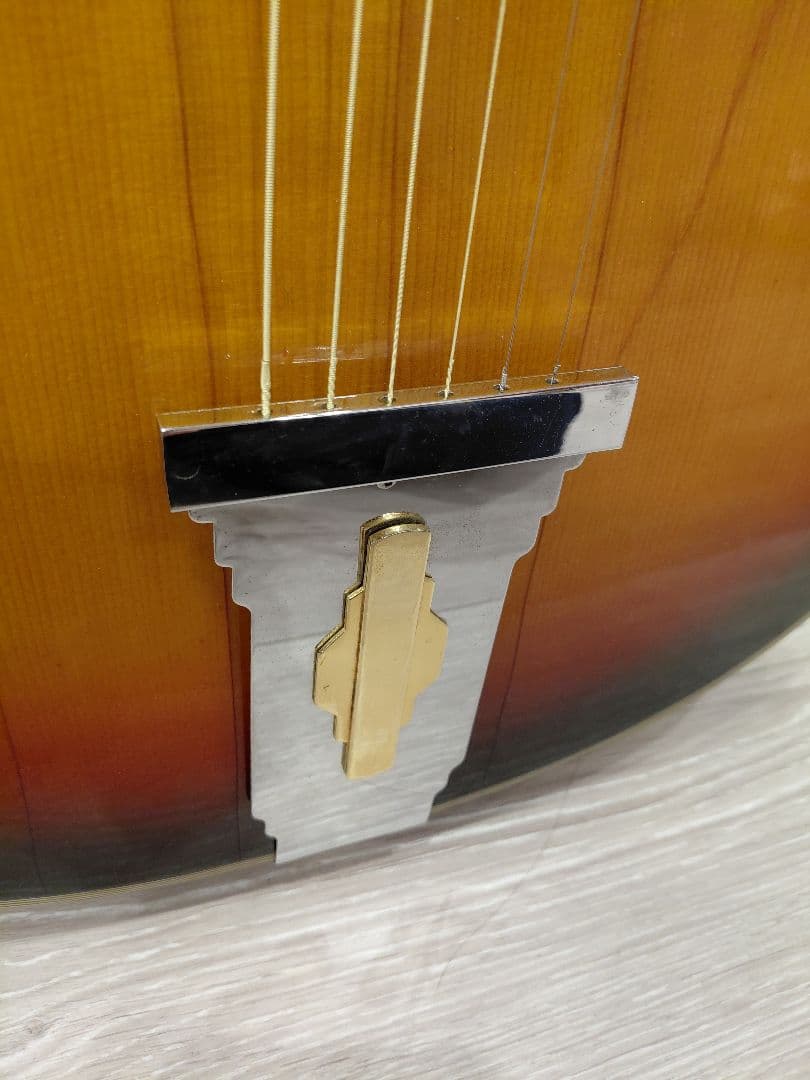 Nardan No.100 アーチトップ ナルダン ピックギター