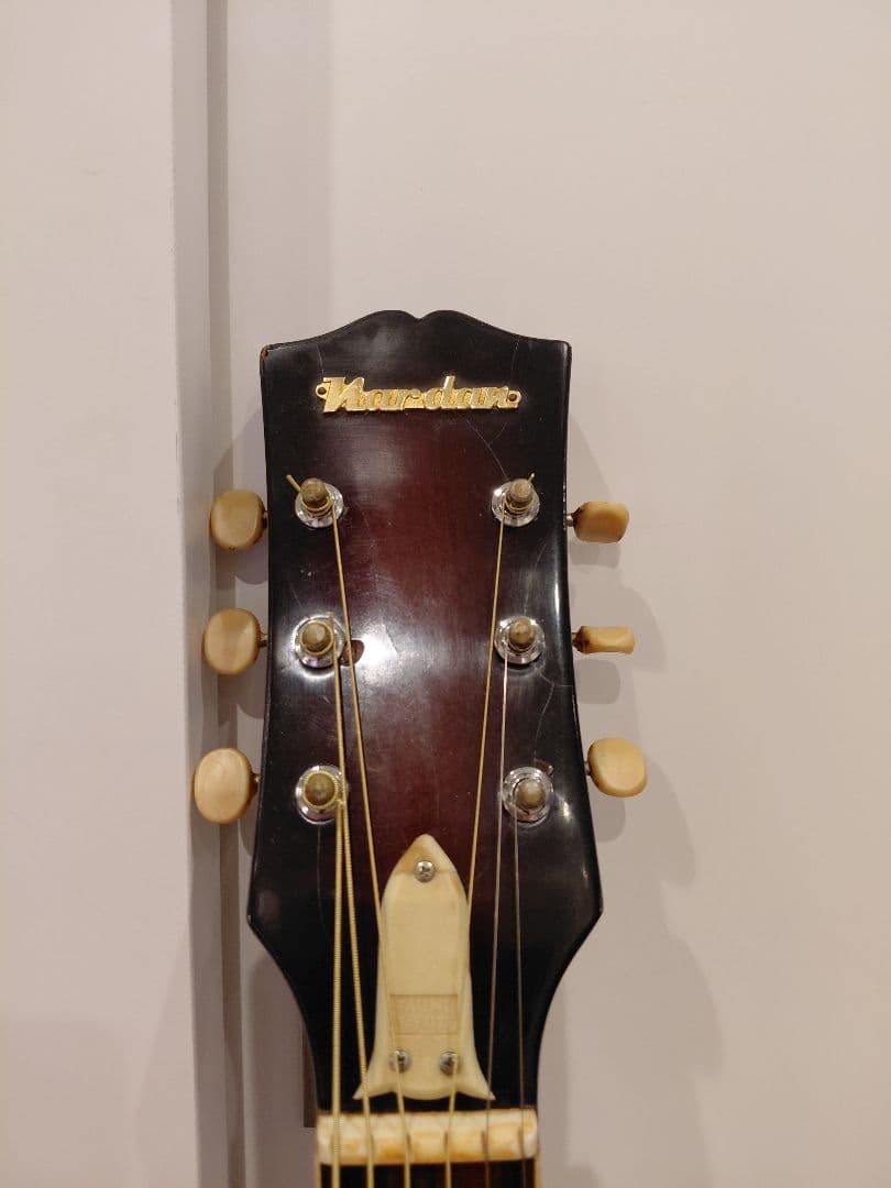 Nardan No.100 アーチトップ ナルダン ピックギター