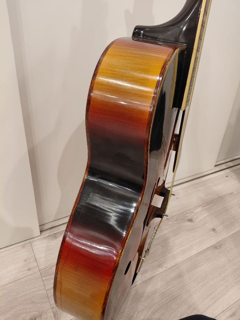 Nardan No.100 アーチトップ ナルダン ピックギター