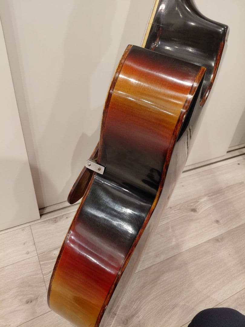 Nardan No.100 アーチトップ ナルダン ピックギター