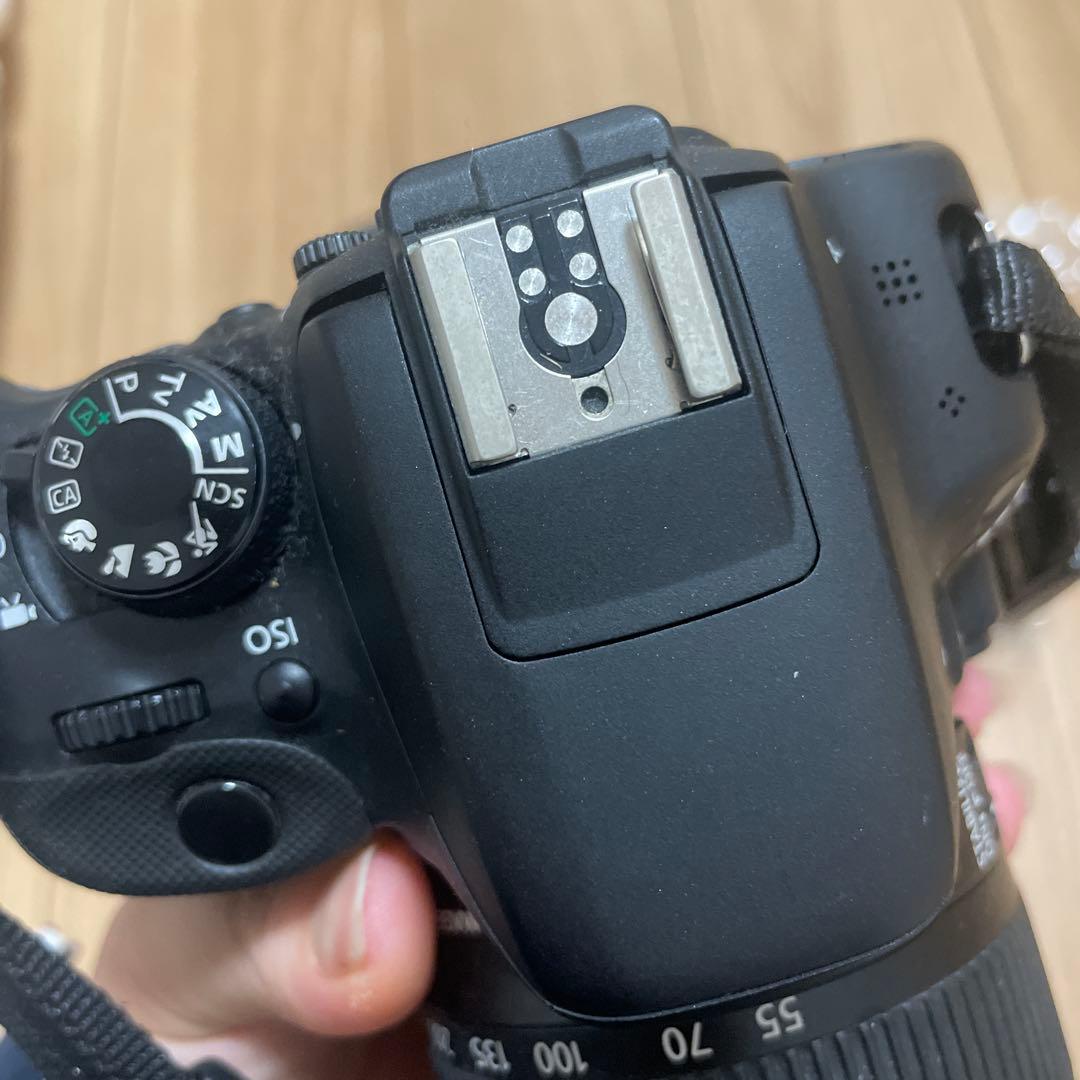 Canon デジタル一眼レフ 55-250mmレンズ付き