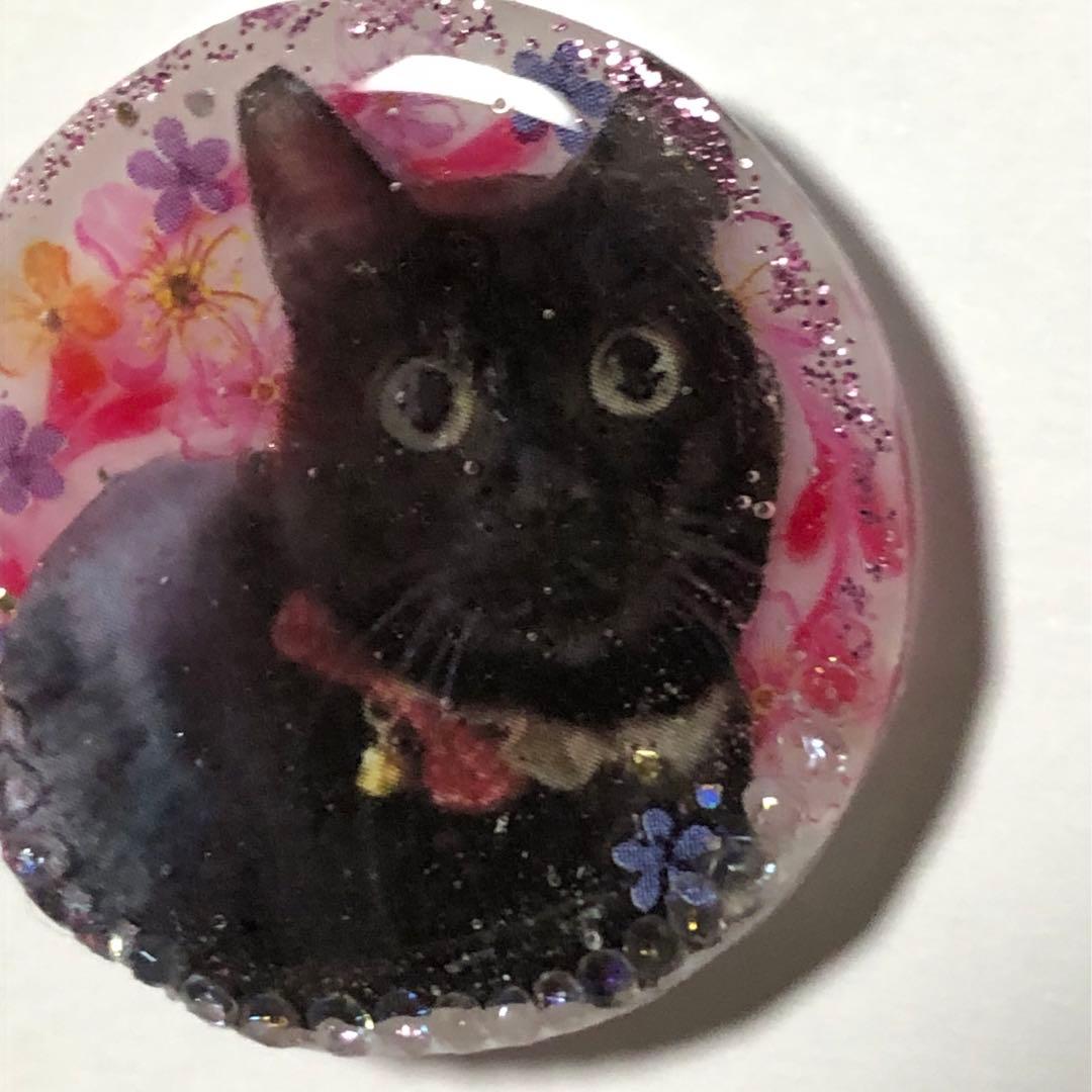 レジンヘアゴム　NO.260おすまし猫ちゃん