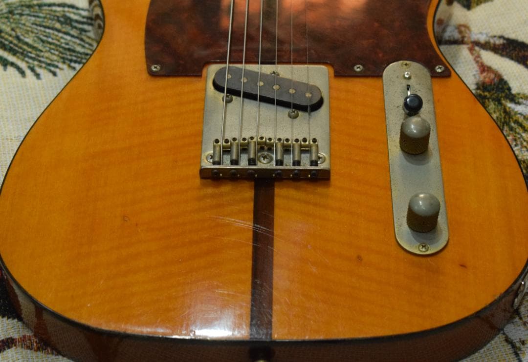 ギター Bill's Brothers EXCELLENT MAD CAT