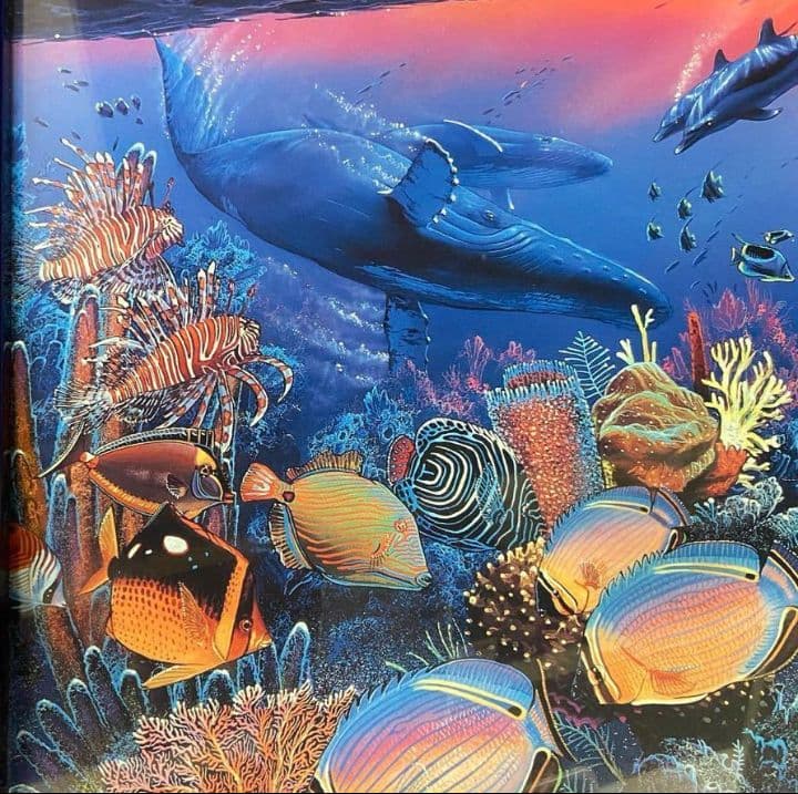 LASSEN (中古品) LAHAINA VISION 額付き