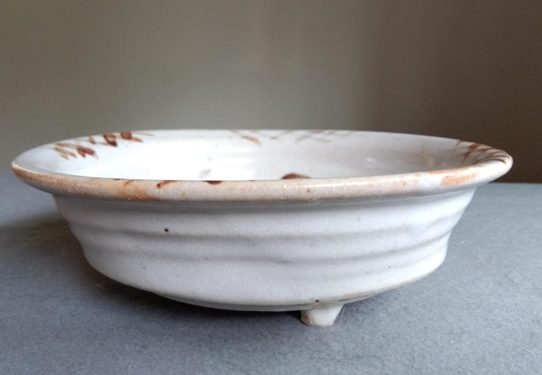 美濃焼の名工　工藤陸雄　南窯　大胆奔放豪快蕨ワラビ紋様紅志野大鉢