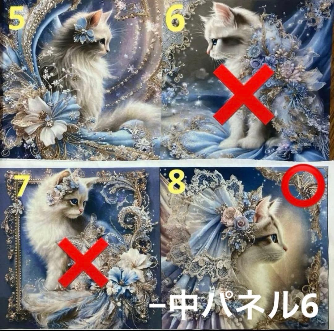 チロスケ様⑤