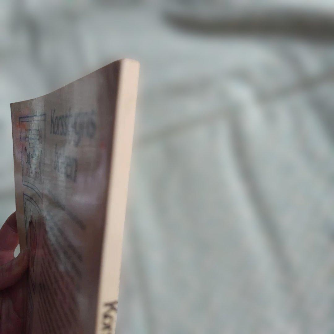 Korsstygns boken 北欧刺繍