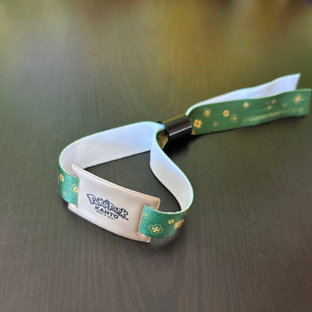 ポケパークカントー エリートトレーナーズパス 特典のみ