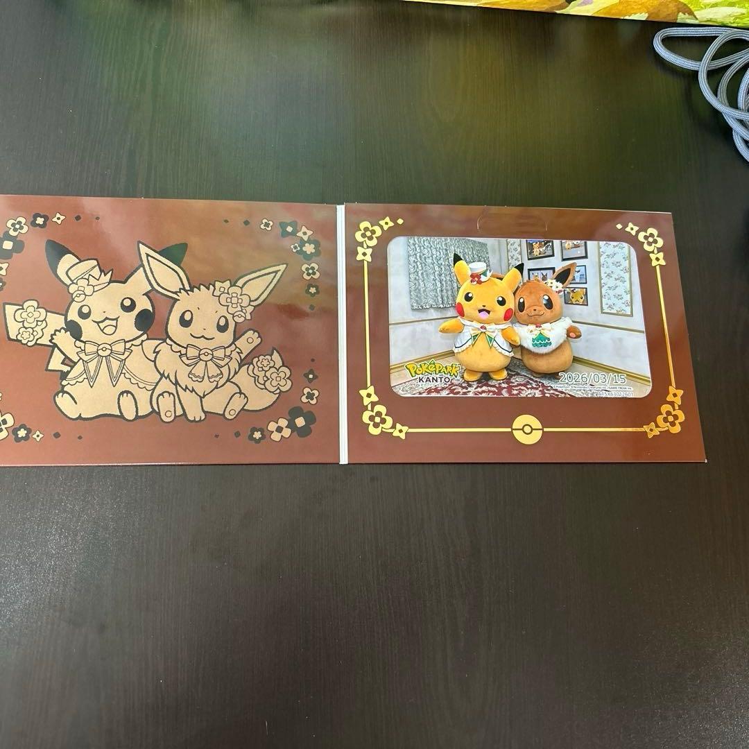 ポケパークカントー エリートトレーナーズパス 特典のみ