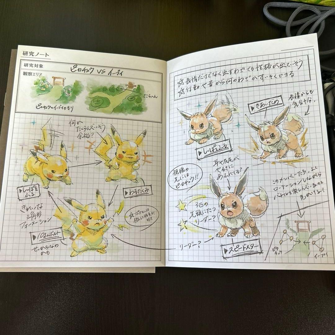 ポケパークカントー エリートトレーナーズパス 特典のみ