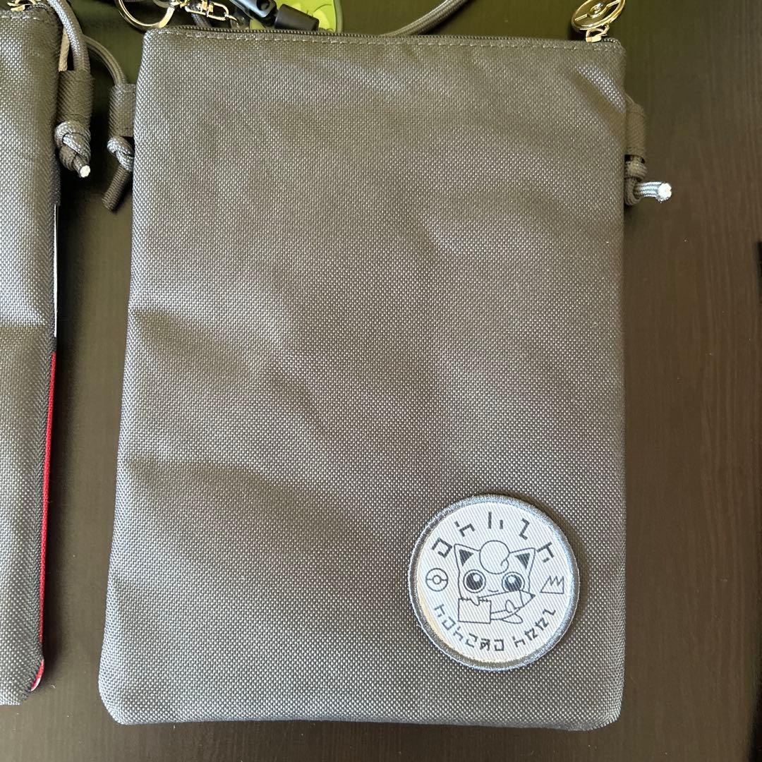 ポケパークカントー エリートトレーナーズパス 特典のみ