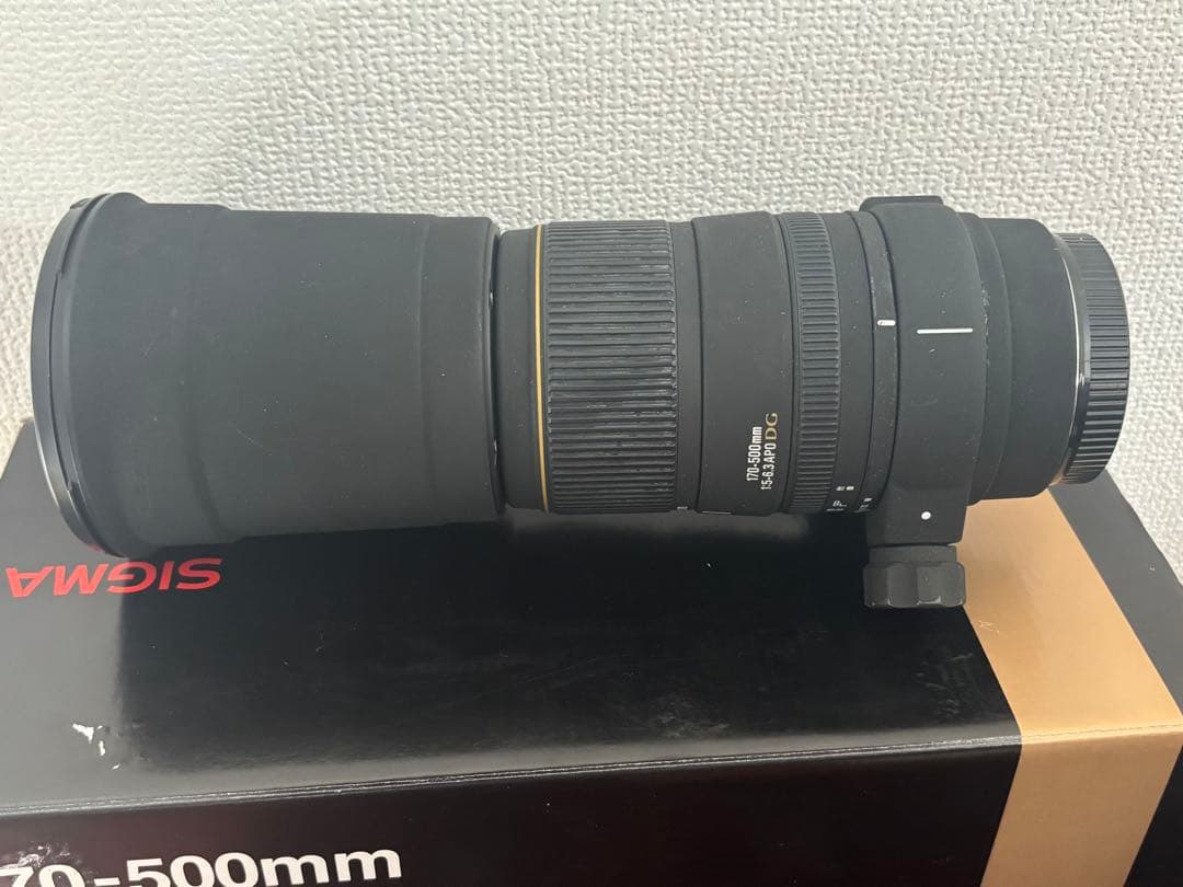 SIGMA 170-500mm F5-6.3 APO DG ズームレンズ