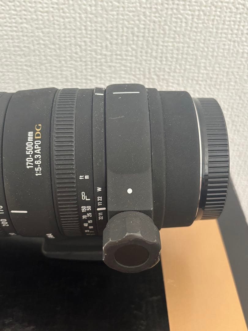 SIGMA 170-500mm F5-6.3 APO DG ズームレンズ