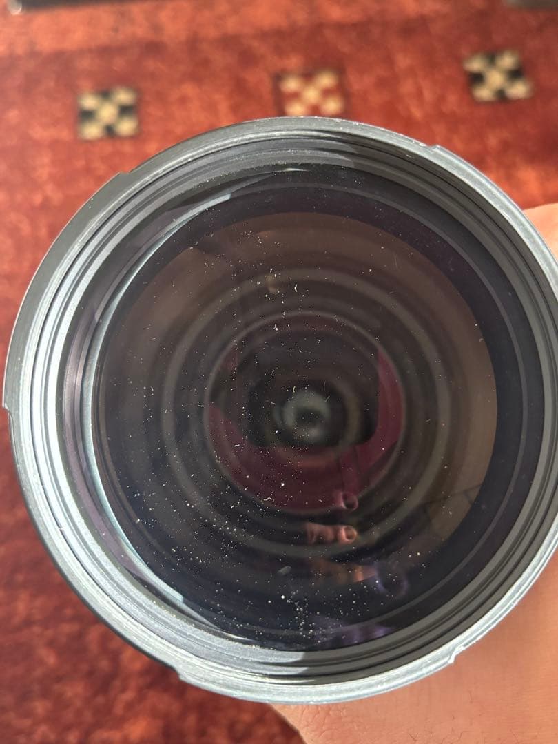 SIGMA 170-500mm F5-6.3 APO DG ズームレンズ