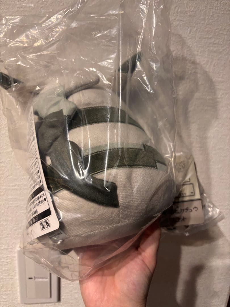 ２点セット　新品　はじまりのポケモン　ぬいぐるみ　マスコット