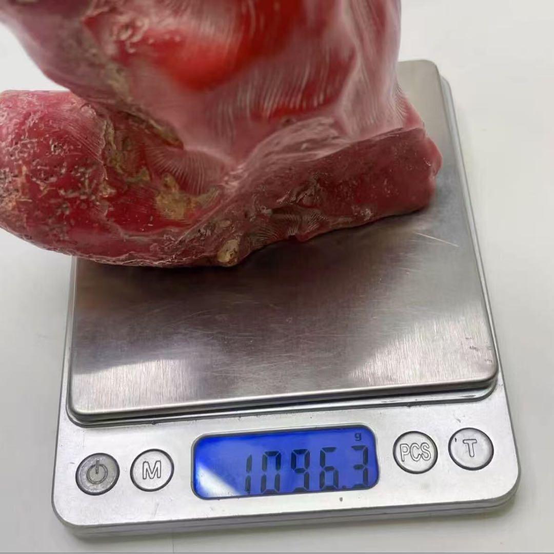 山珊瑚 サンゴ 枝 置物 オブジェ 総重量約1096g 高さ22cm