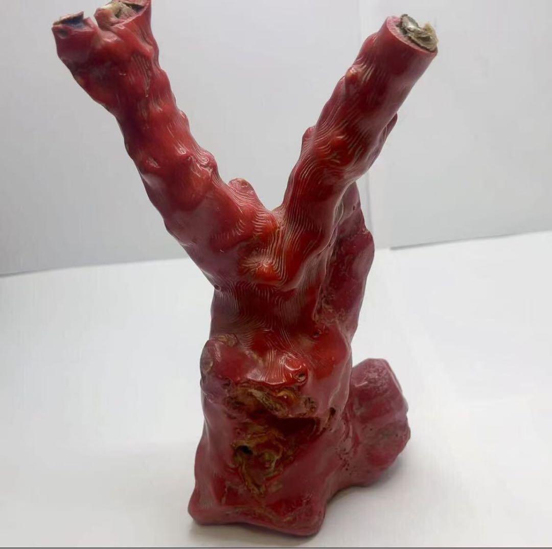 山珊瑚 サンゴ 枝 置物 オブジェ 総重量約1096g 高さ22cm