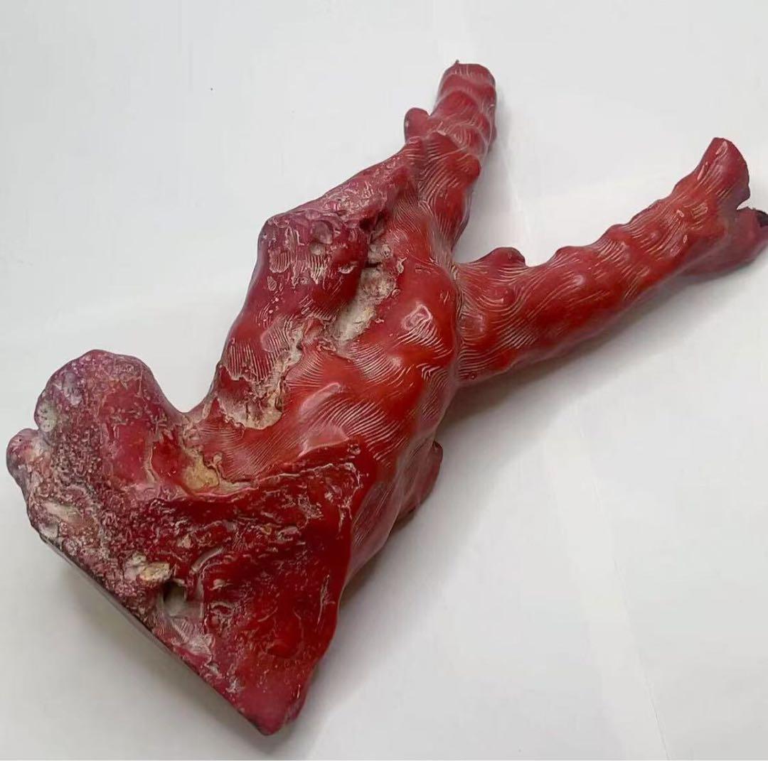 山珊瑚 サンゴ 枝 置物 オブジェ 総重量約1096g 高さ22cm