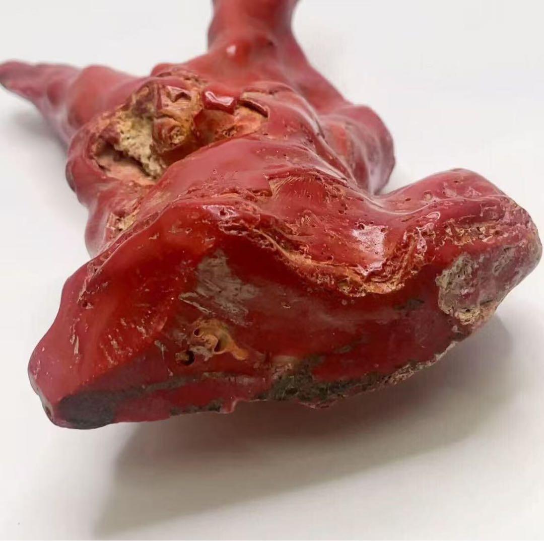 山珊瑚 サンゴ 枝 置物 オブジェ 総重量約1096g 高さ22cm