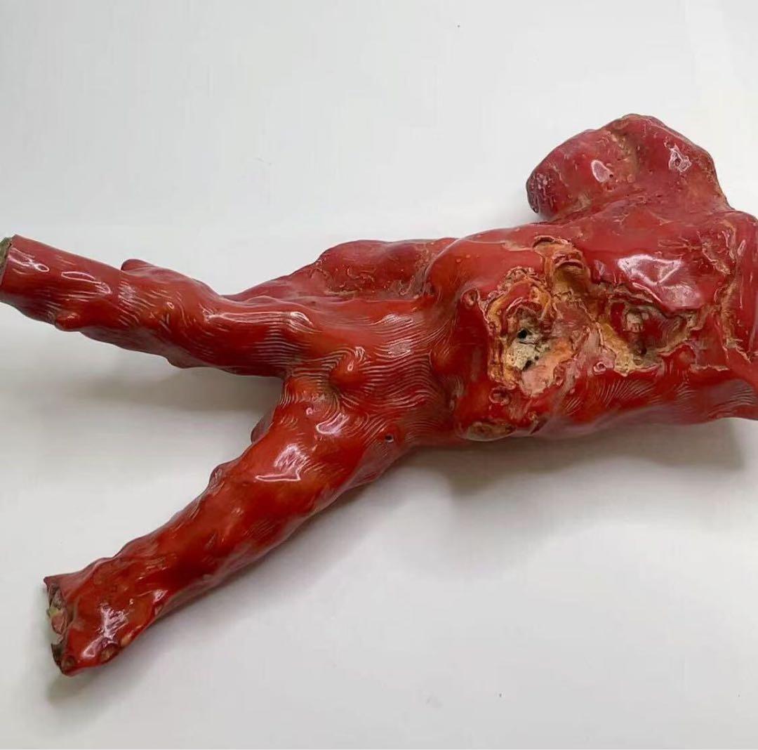 山珊瑚 サンゴ 枝 置物 オブジェ 総重量約1096g 高さ22cm