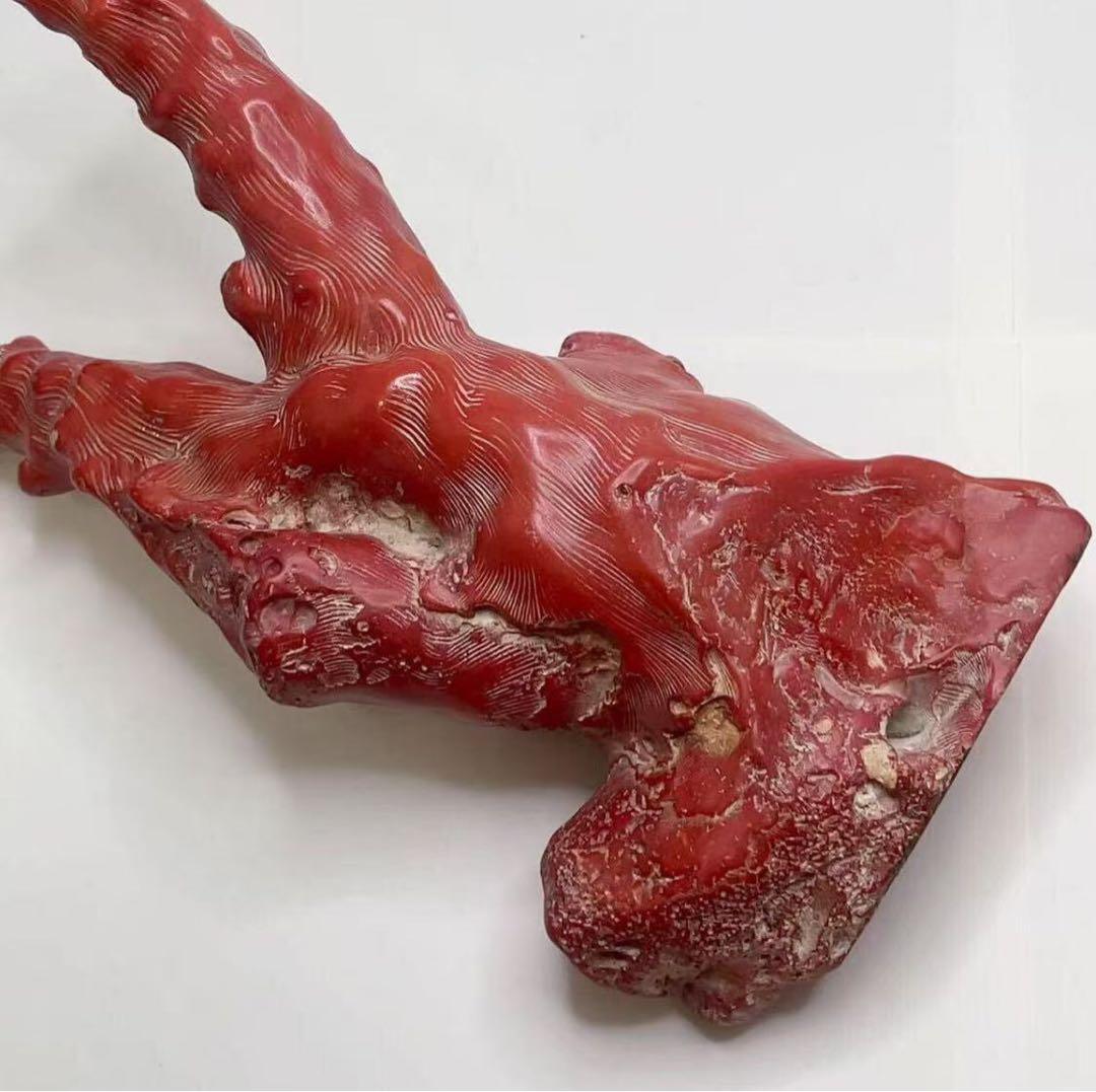 山珊瑚 サンゴ 枝 置物 オブジェ 総重量約1096g 高さ22cm