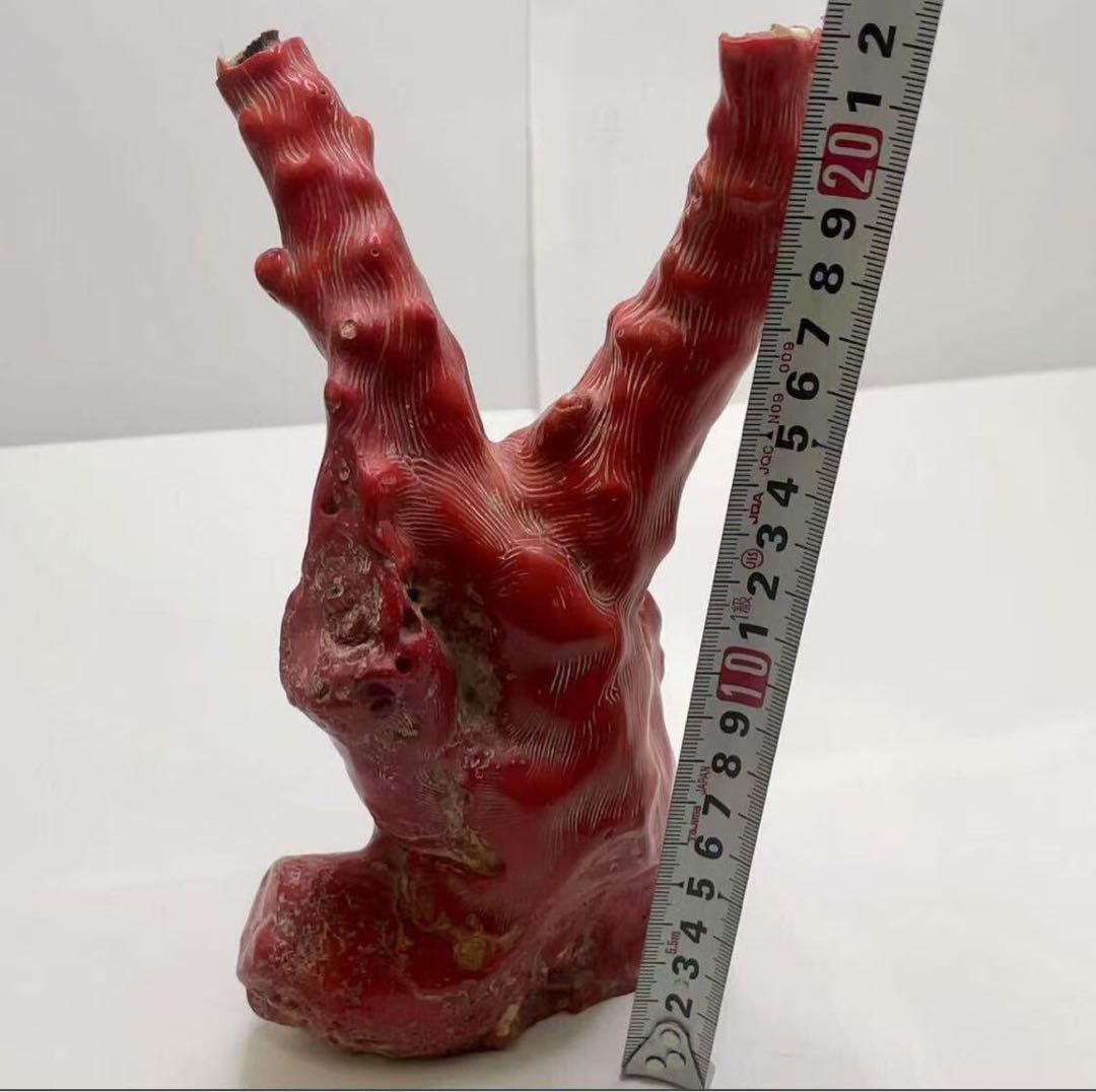 山珊瑚 サンゴ 枝 置物 オブジェ 総重量約1096g 高さ22cm
