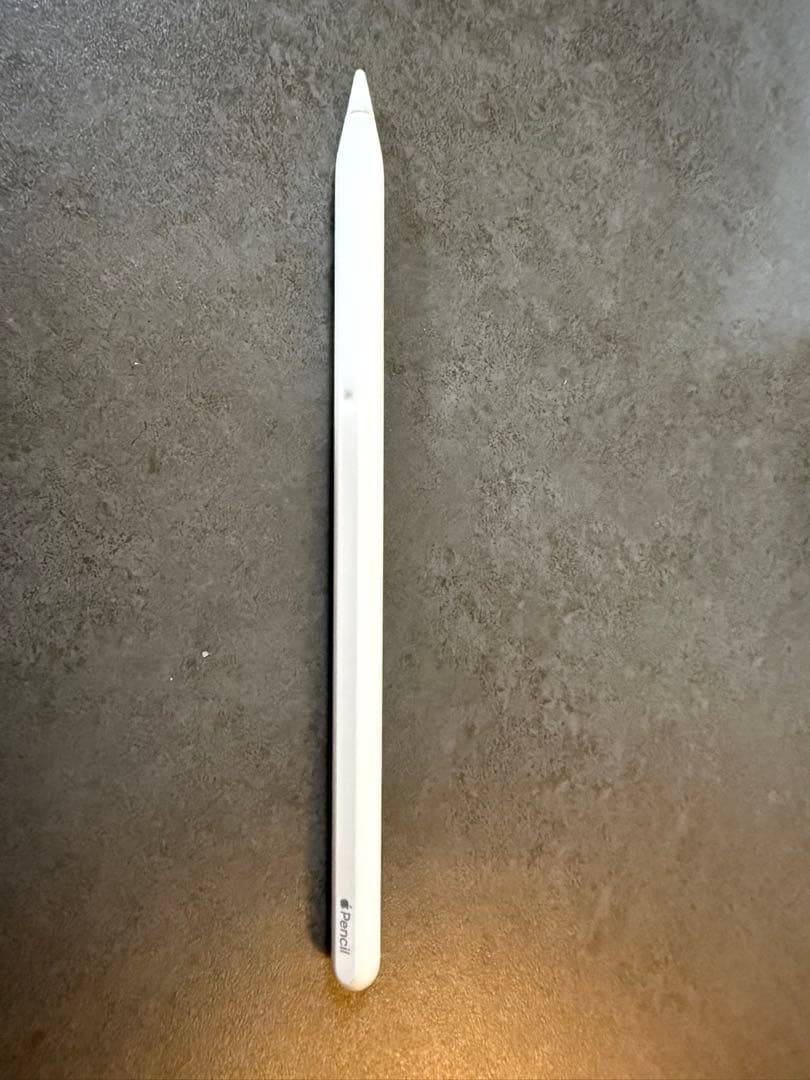 iPad Pro (第2世代) Wi-Fi + Cellular 128GB 他