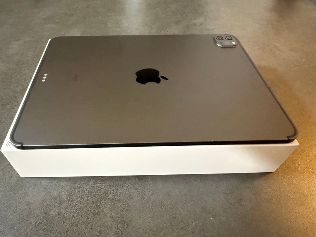 iPad Pro (第2世代) Wi-Fi + Cellular 128GB 他